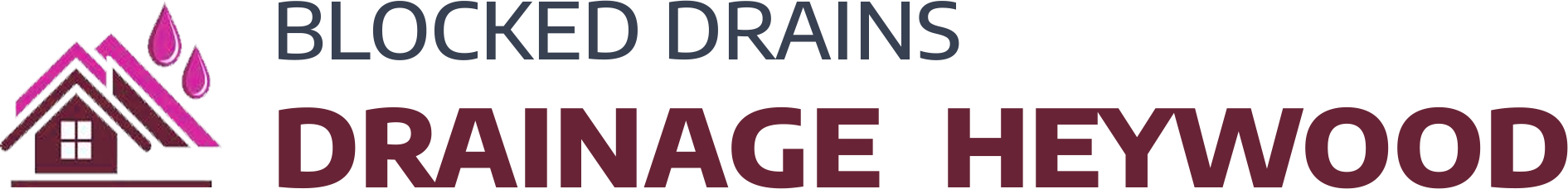website logo